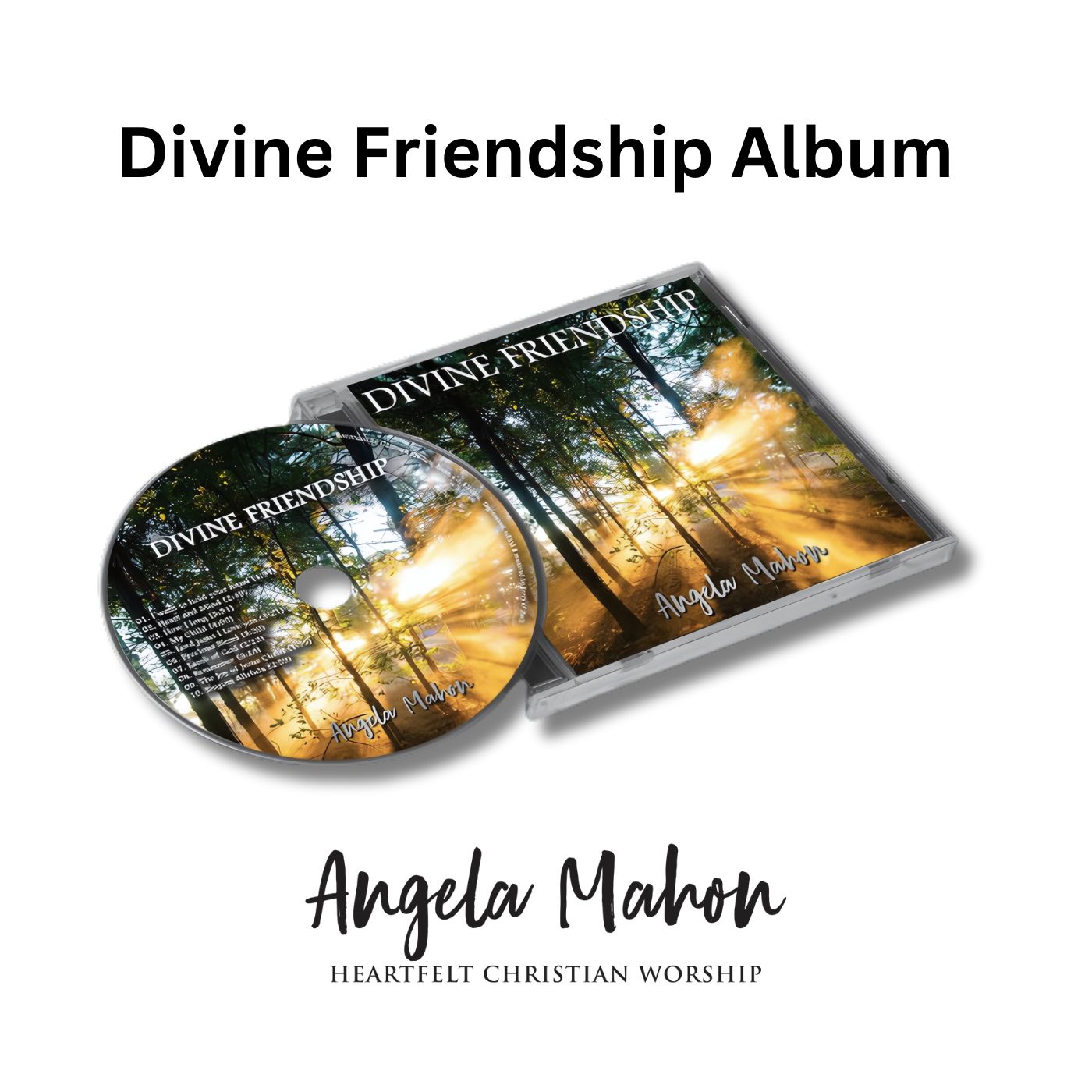 Divine Friendship CD